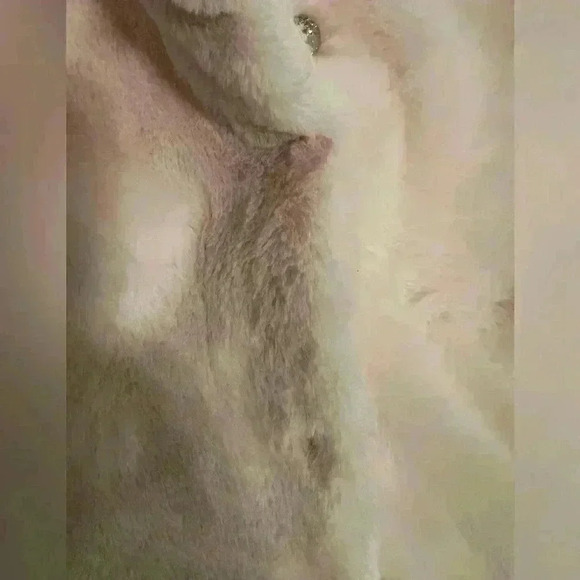 Epic threads size 4T (G122) - Picture 6 of 8